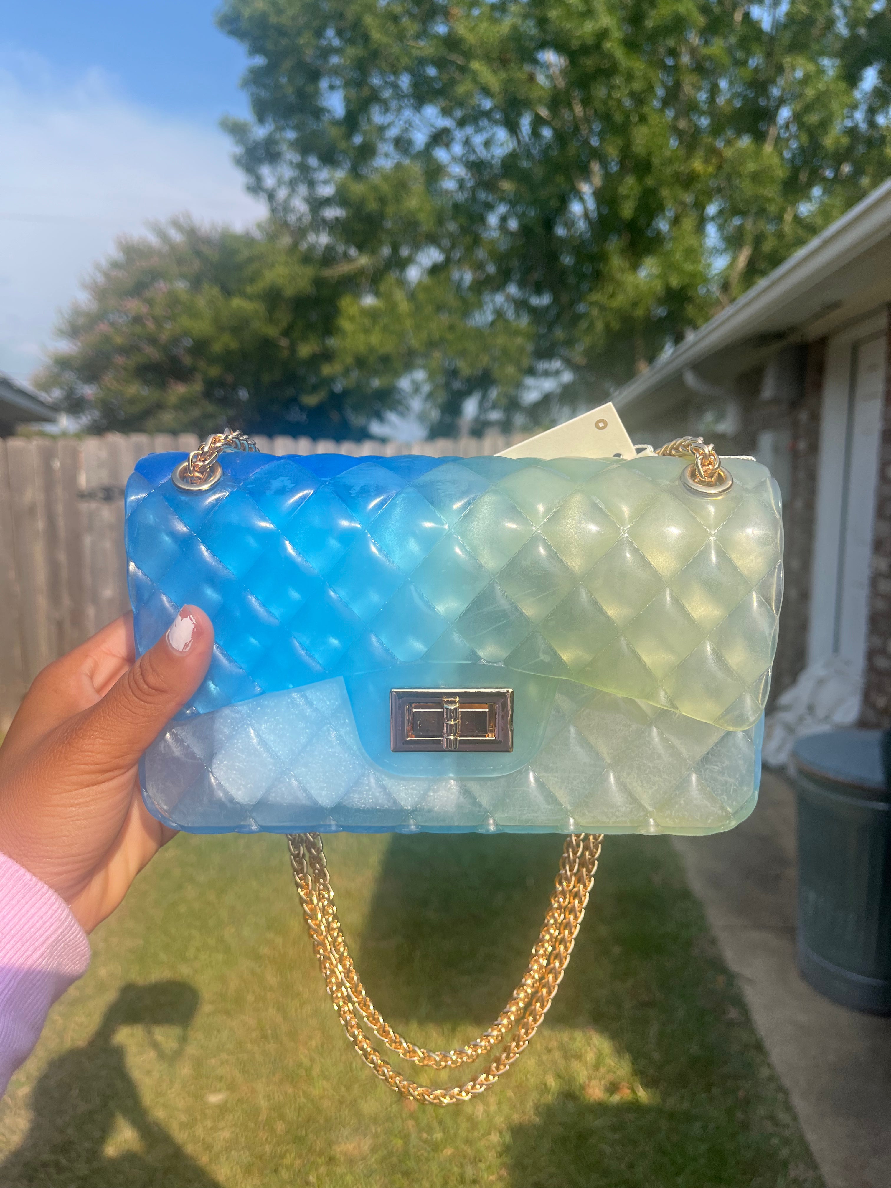 Blue/Green Jelly Purse